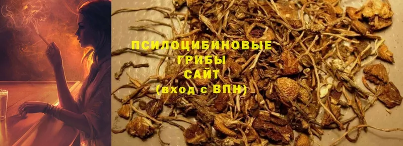 MEGA онион  даркнет сайт  Курган  Псилоцибиновые грибы Psilocybe 